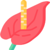 开云APP logo